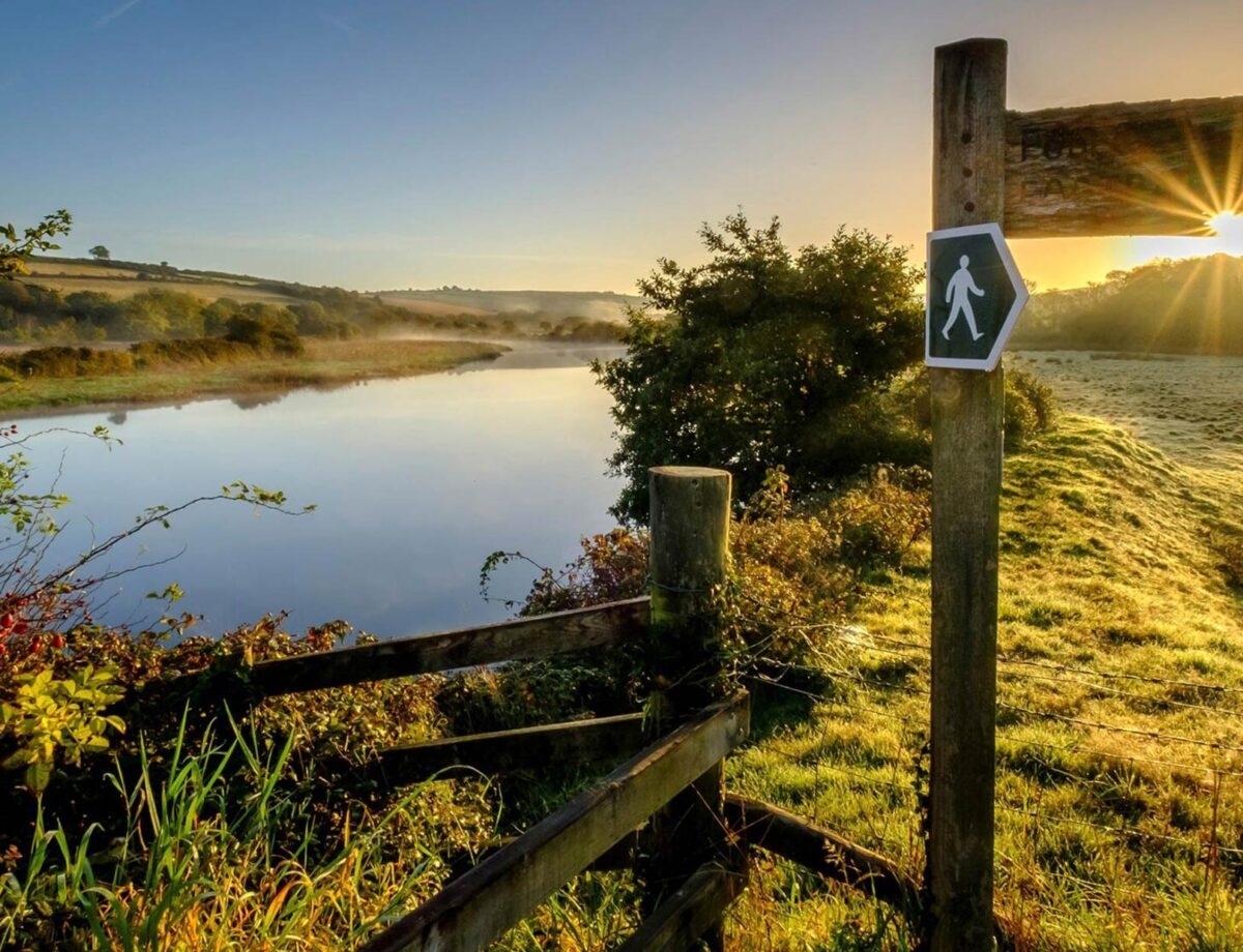 South Devon National Landscape Nature Walks Events