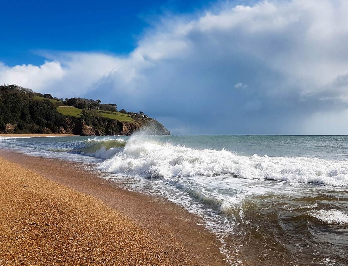 South Devon National Landscape Nature Walks Events