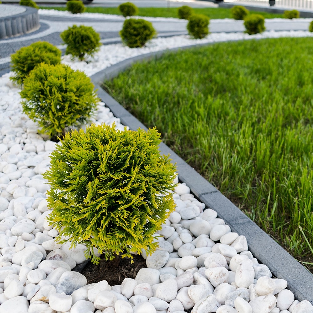 Southwest Boulder Stone White Pebbles Landscaping Rock 20 lb Bag Transform Your Garden And Succulent Arrangements With Clean And Minimalist Porcelain Stones 02 0227 At Lowes