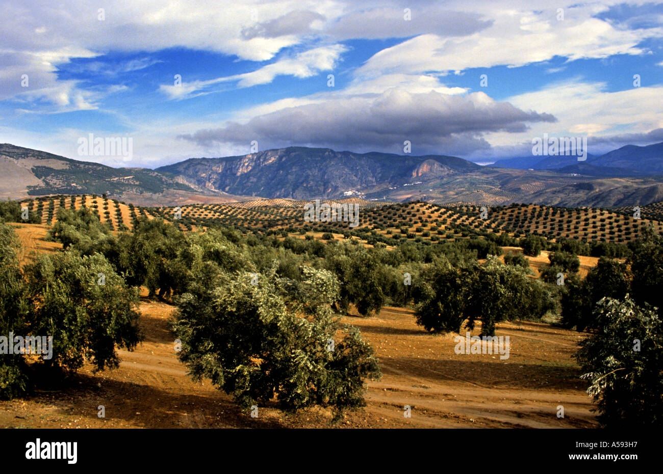 landscape in spanish