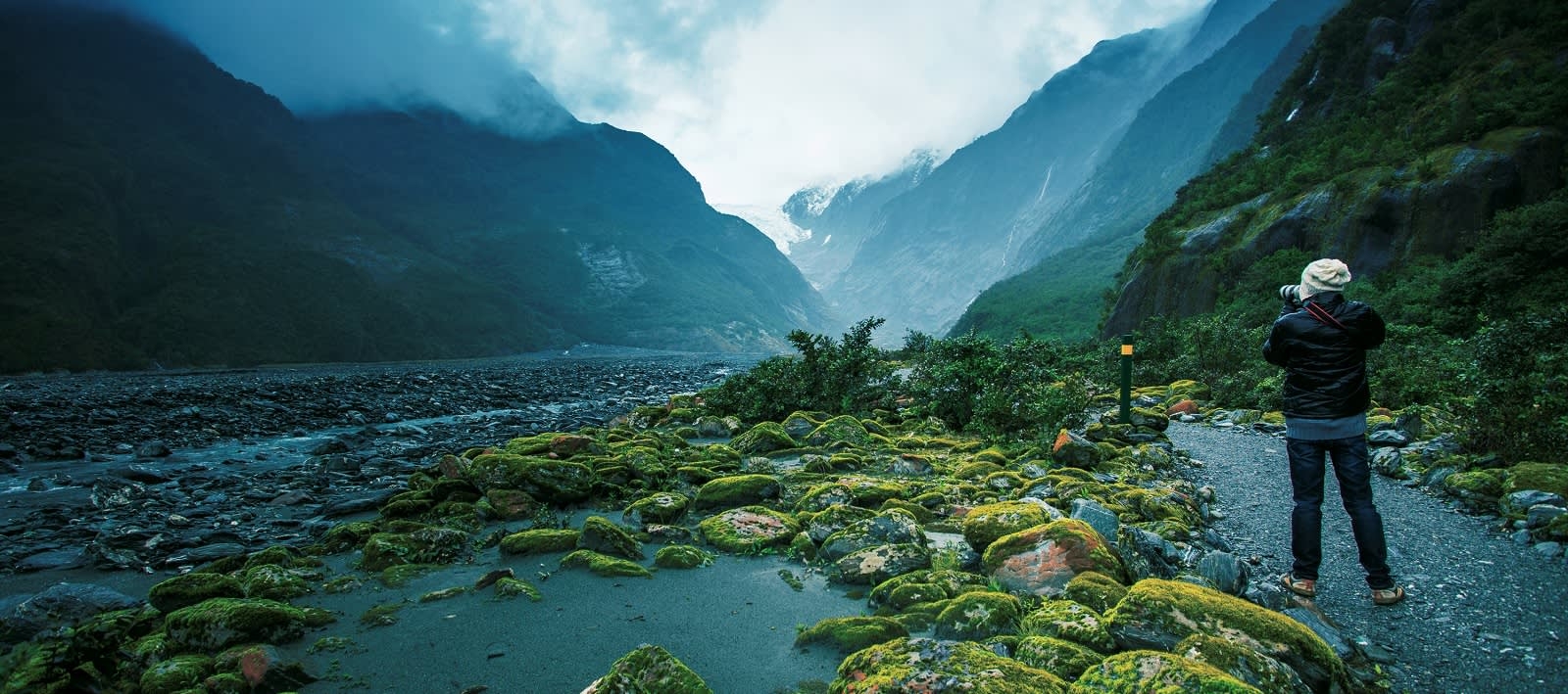 new zealand landscape