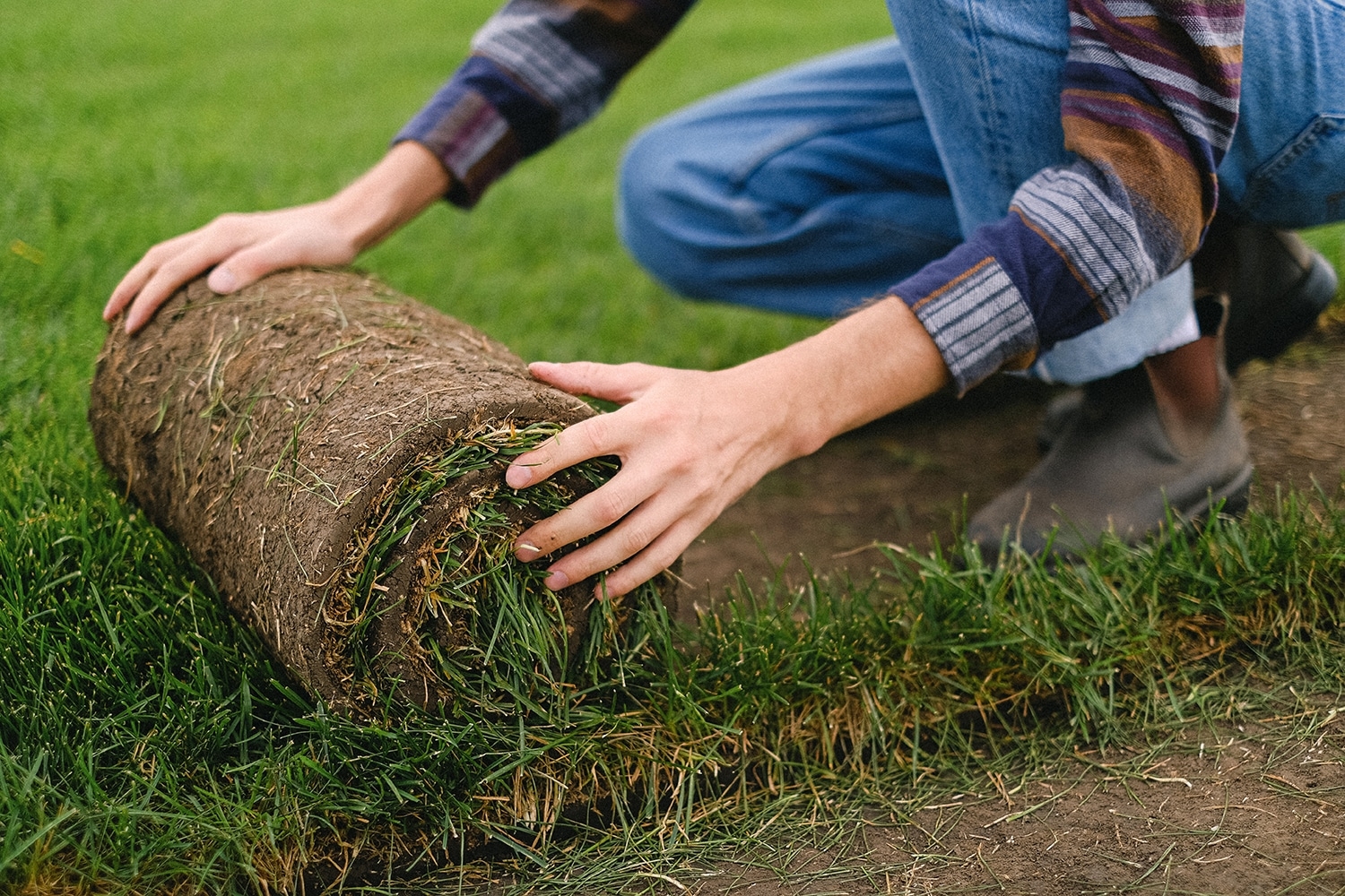 Starting A Landscaping Job Can Be The Start Of A Fulfilling Career