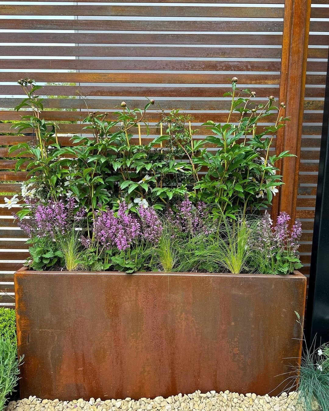 Steel Landscaping Co At RHS Chelsea Flower Show 2023 Steel Landscaping Co 