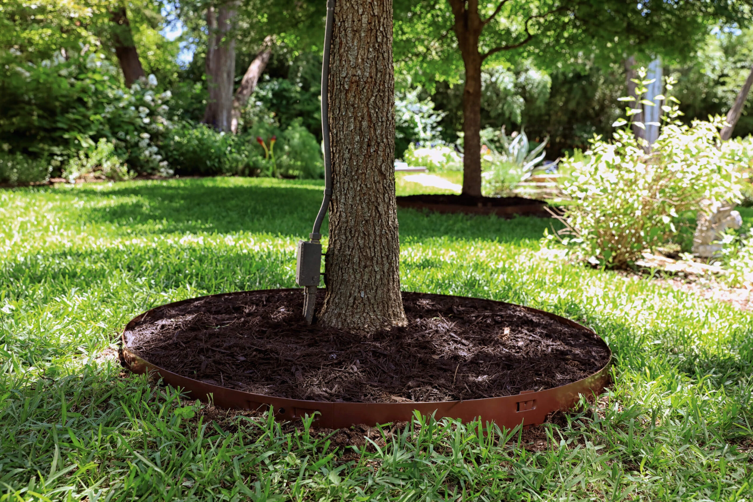 Steel Tree Rings Colmet