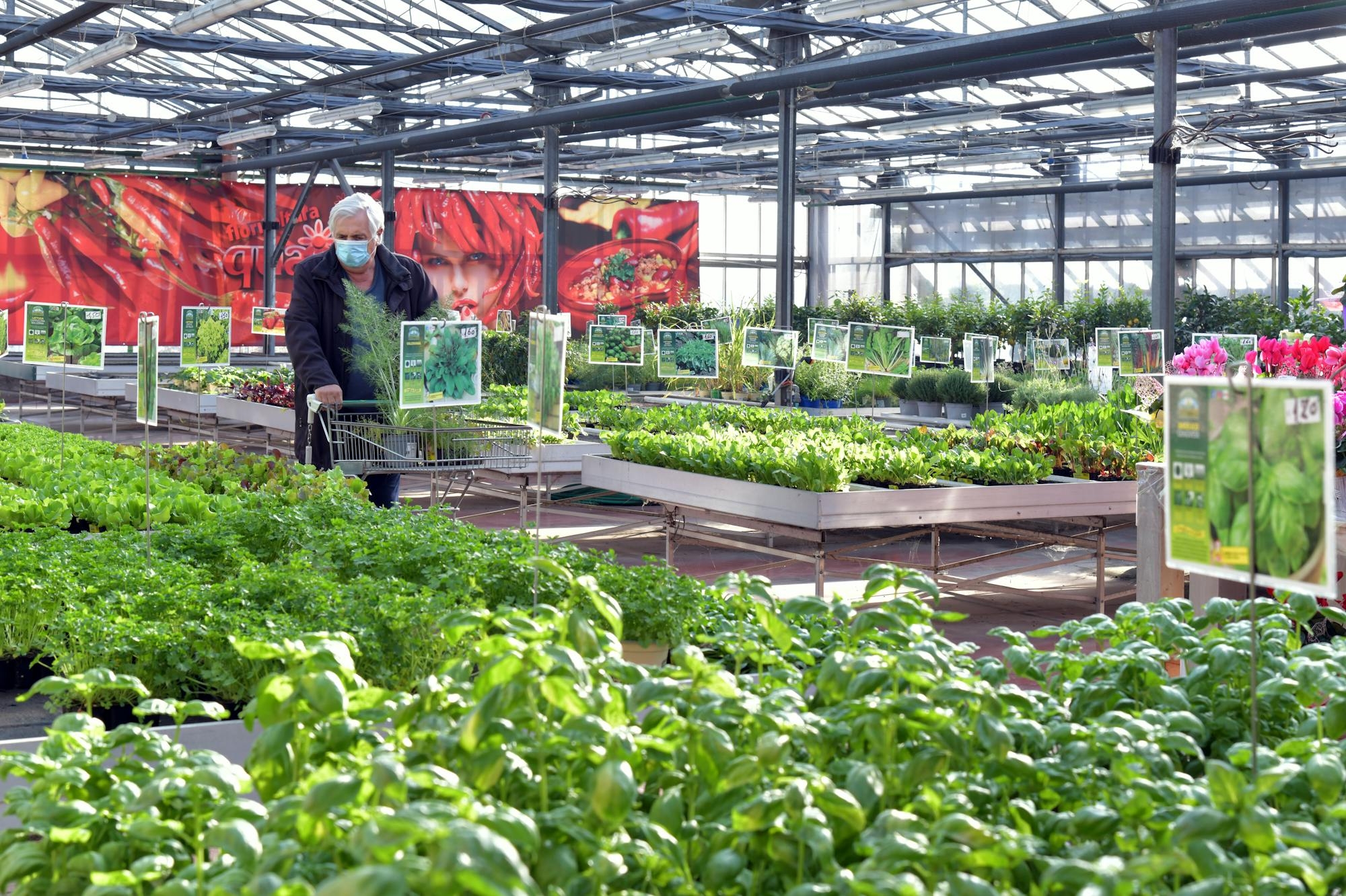 stone brook garden center & landscape supply stone brook garden center & landscape supply