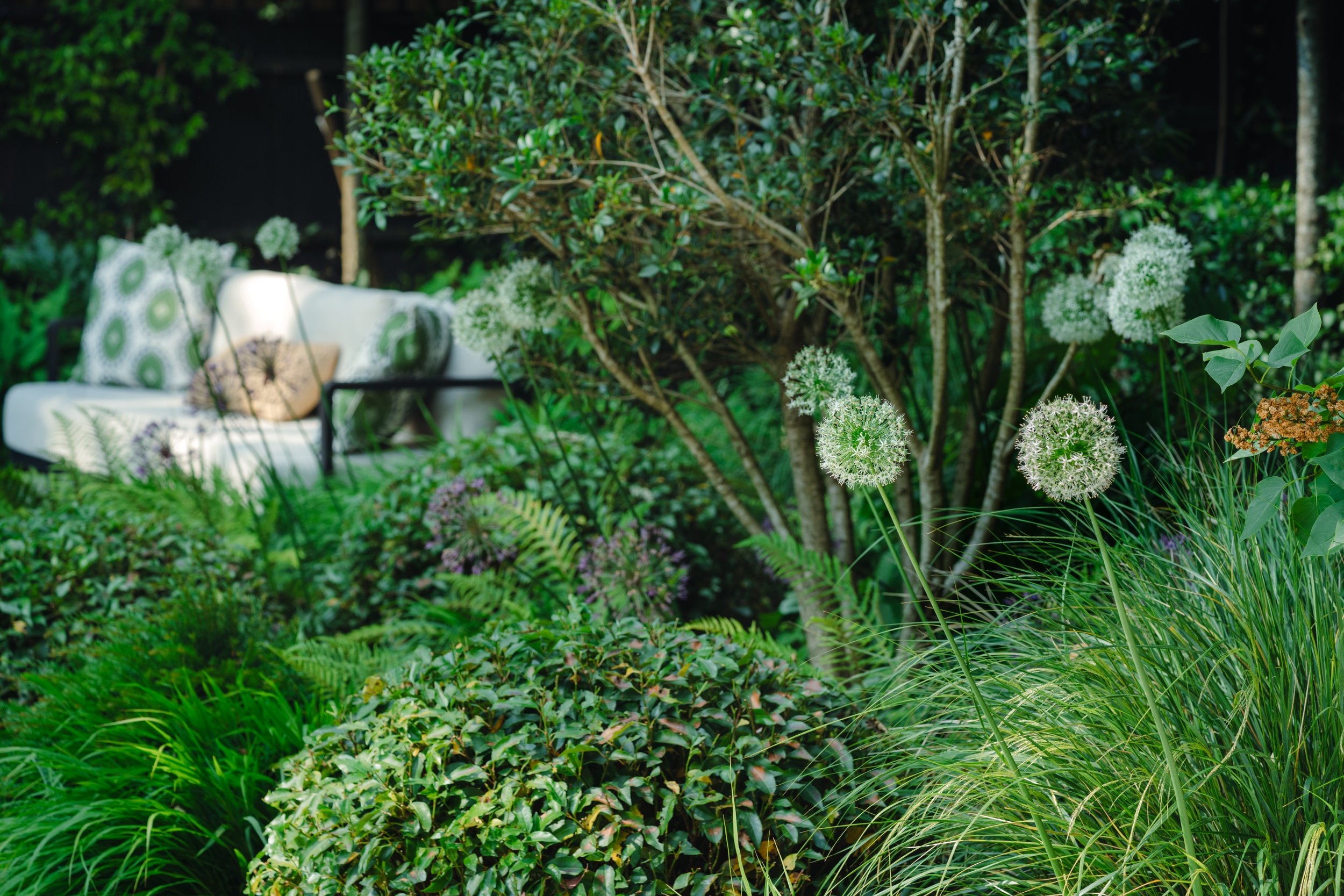 Studio Pollyanna Landscape Design