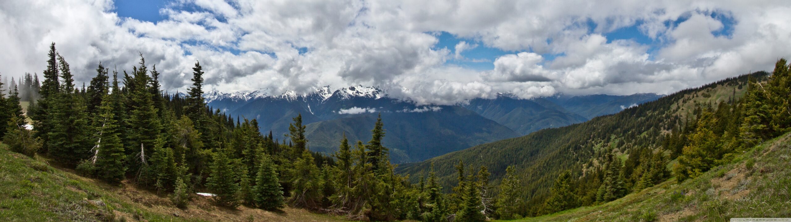 Stunning View Olympic National Park Washington USA 4K UHD Wallpaper For UltraHD Desktop And TV Dual Monitor Smartphone And Tablet Devices