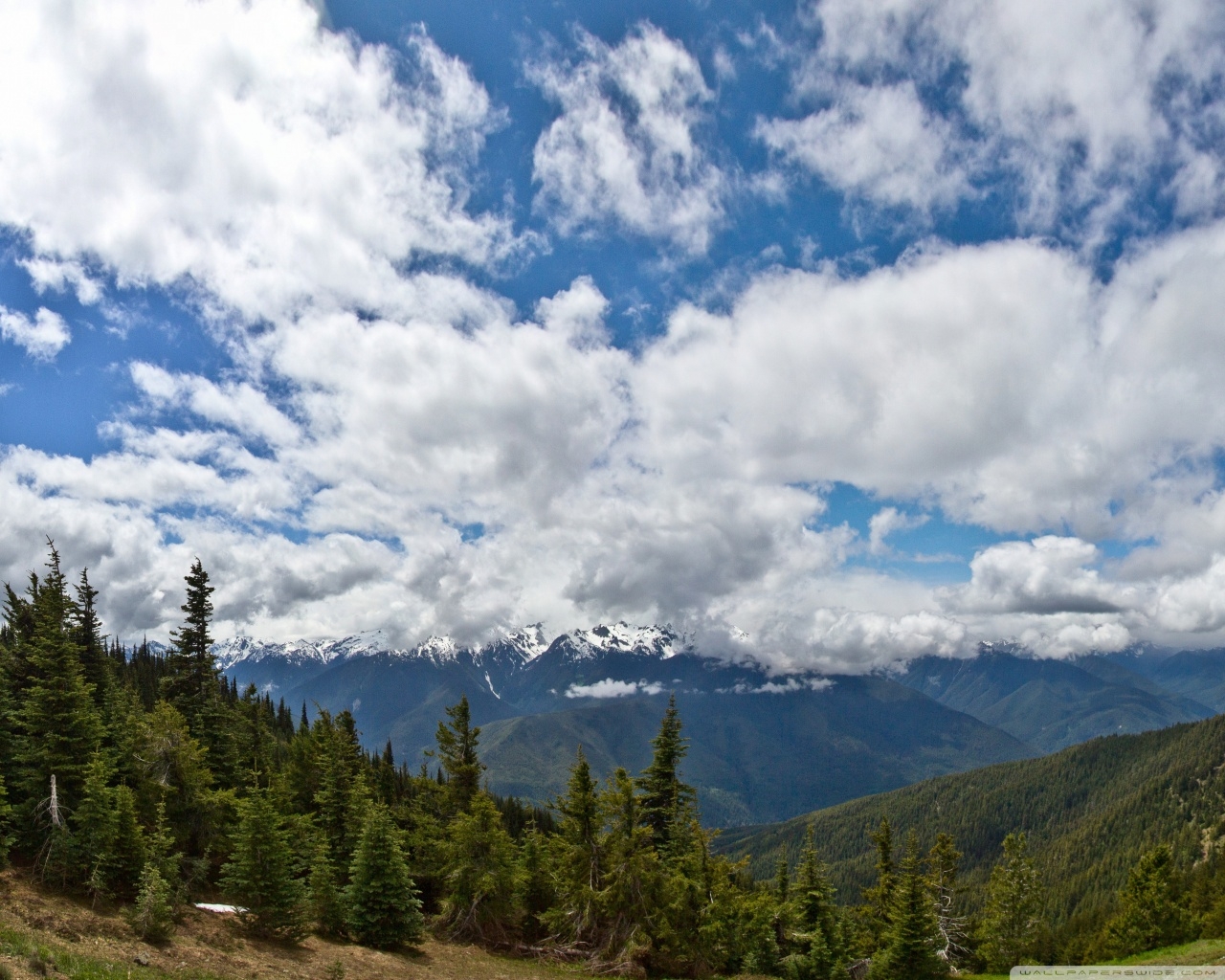 Stunning View Olympic National Park Washington USA 4K UHD Wallpaper For UltraHD Desktop And TV Dual Monitor Smartphone And Tablet Devices