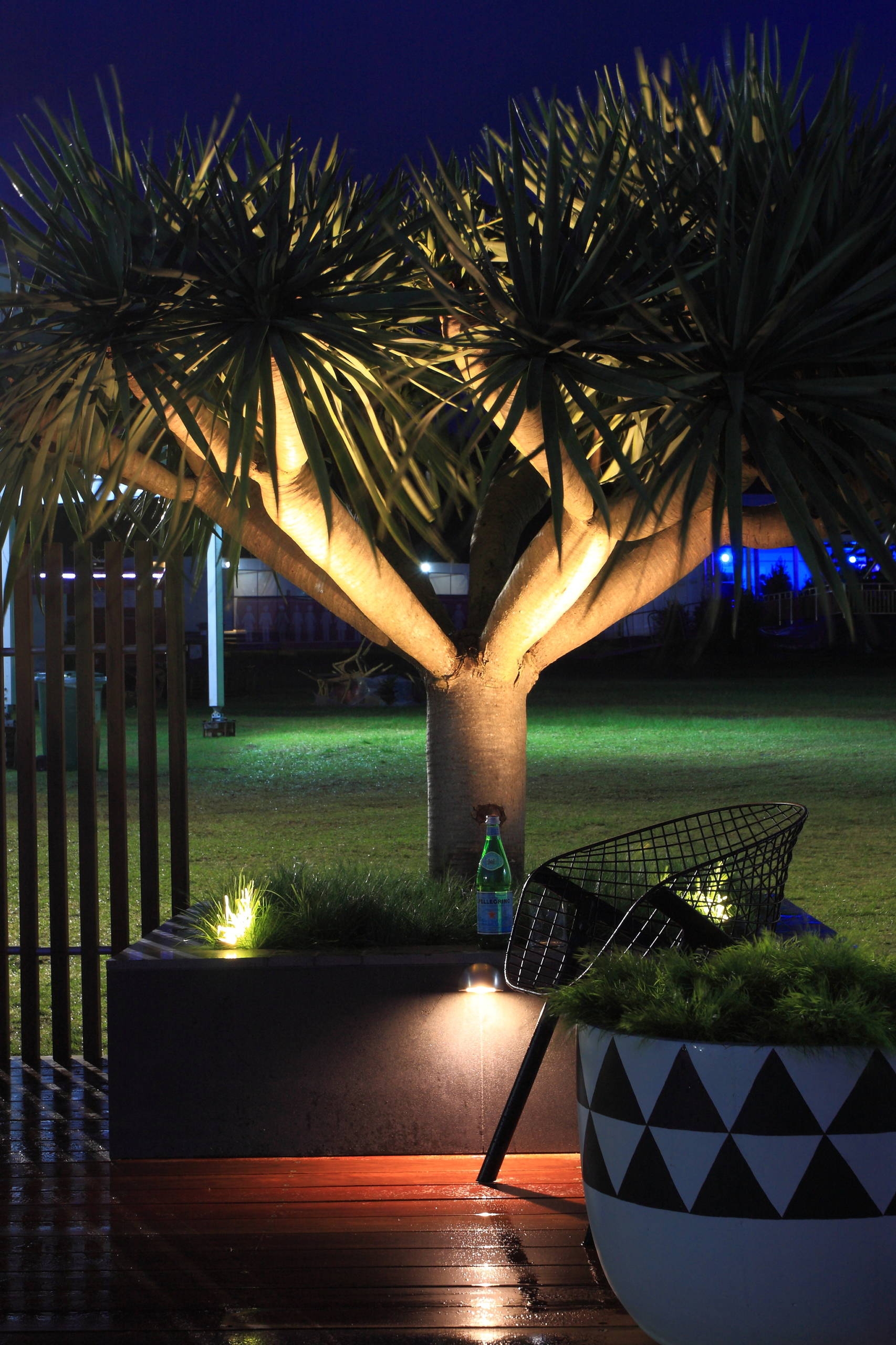 contemporary landscape lighting