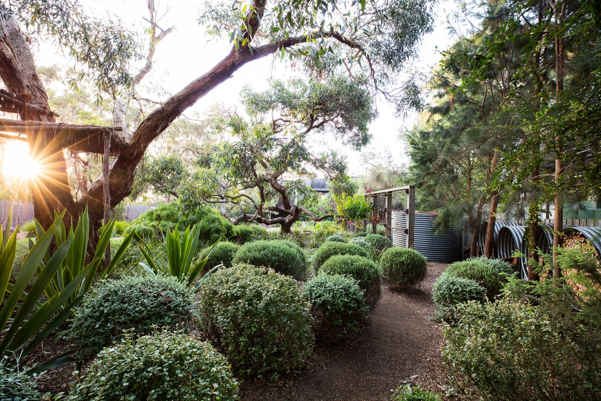 Sunnymeade Ocean Road Landscaping In Geelong Surf Coast Sunnymeade Ocean Road Landscaping In Geelong Surf Coast