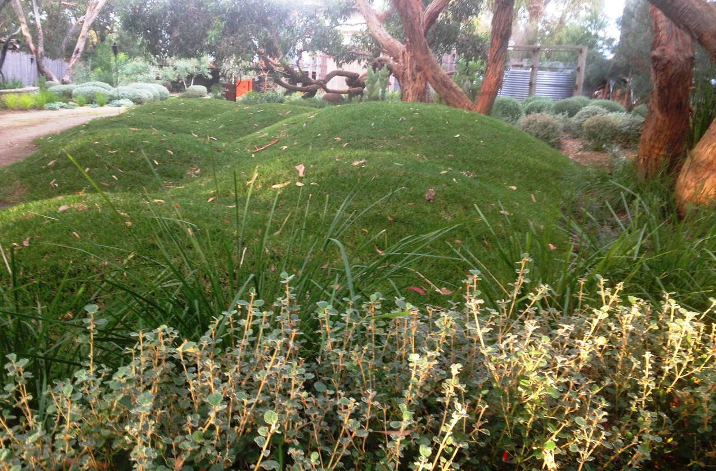 Sunnymeade Ocean Road Landscaping In Geelong Surf Coast Sunnymeade Ocean Road Landscaping In Geelong Surf Coast