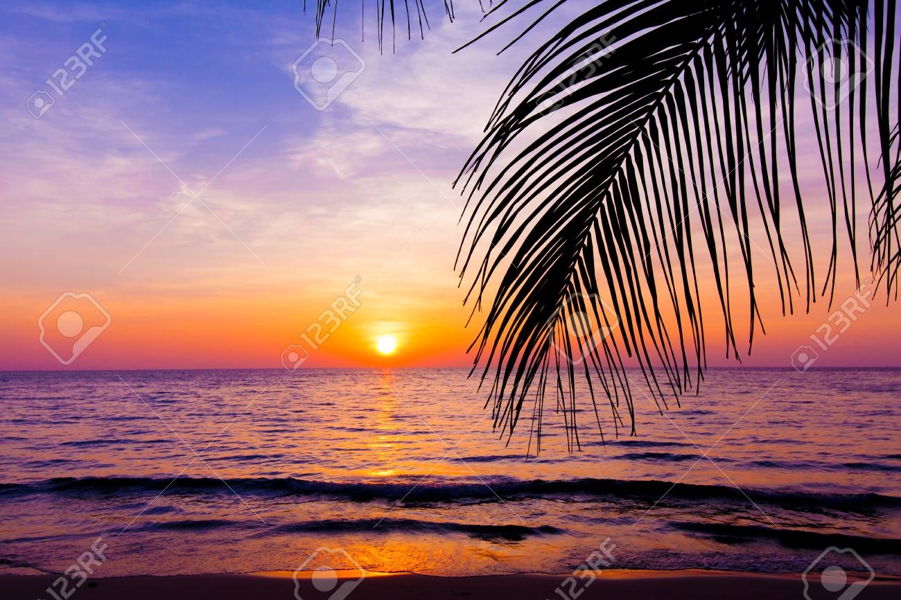 landscape of the beach
