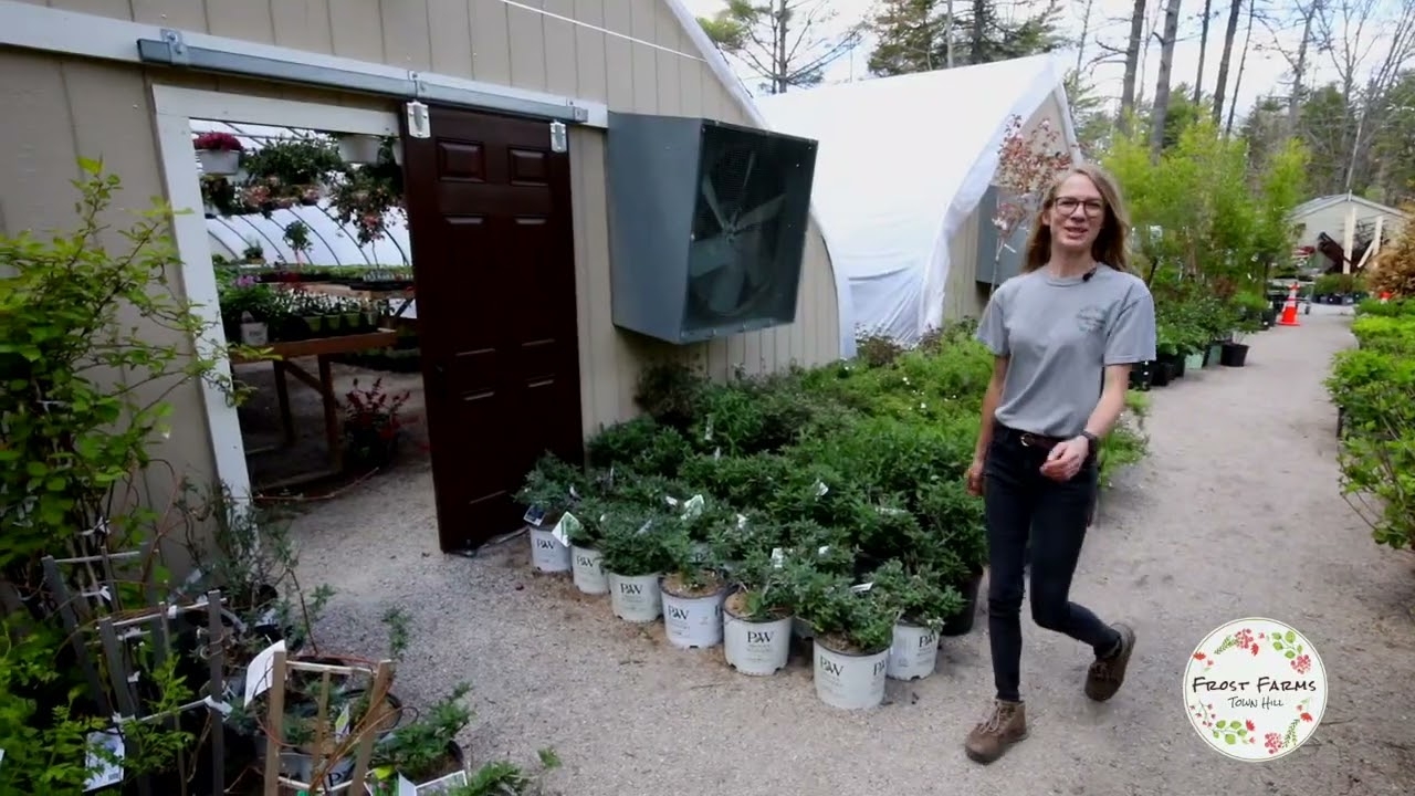Take A Tour Of The Frost Farms Garden Center On Mount Desert Island Maine YouTube