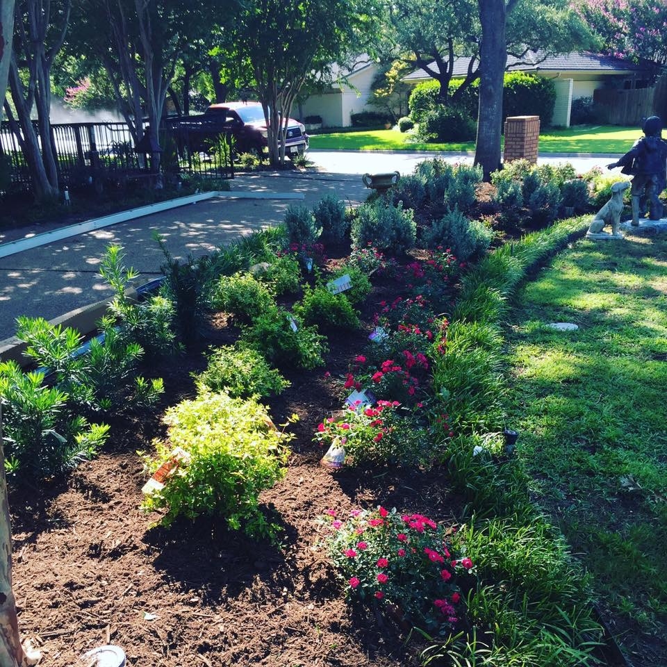 Terra Firma Lawns Family Owned DFW Landscaping Service