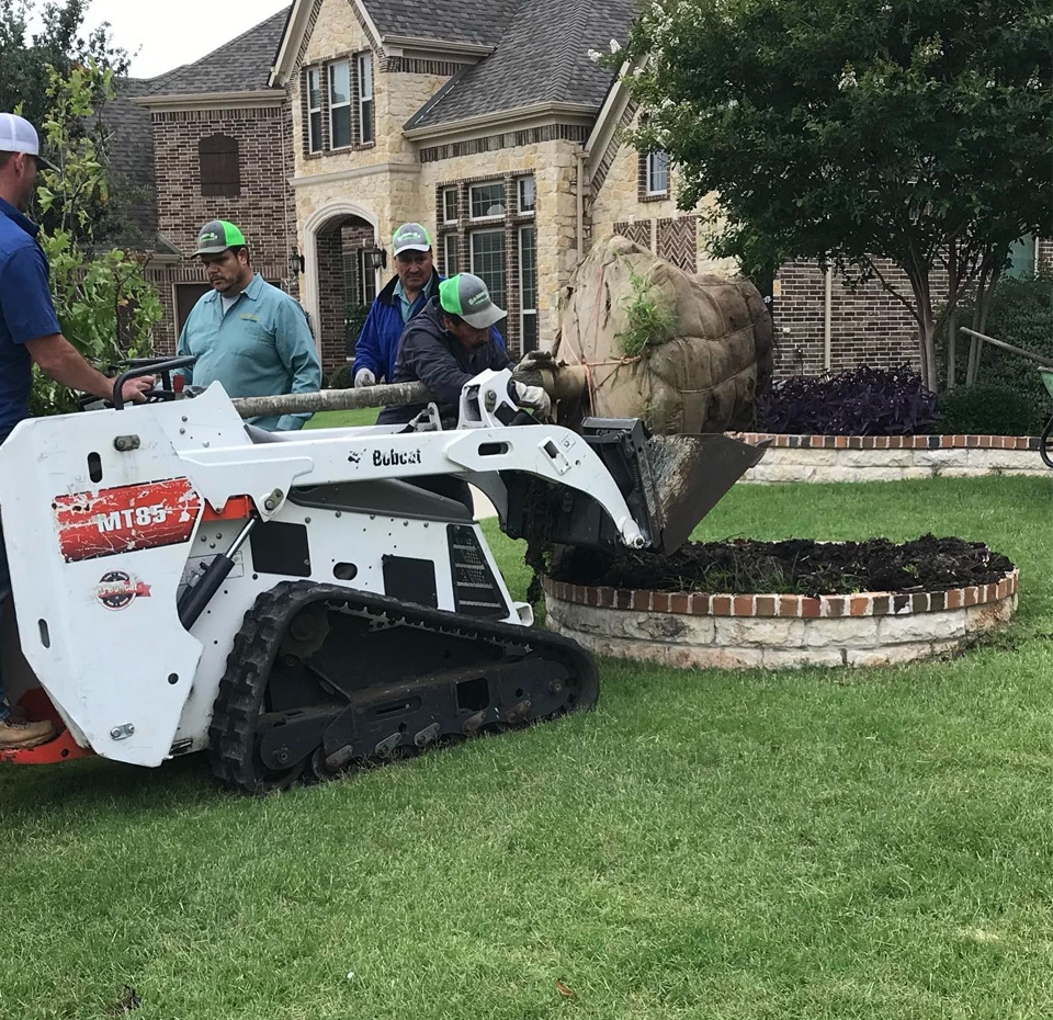 go green landscaping