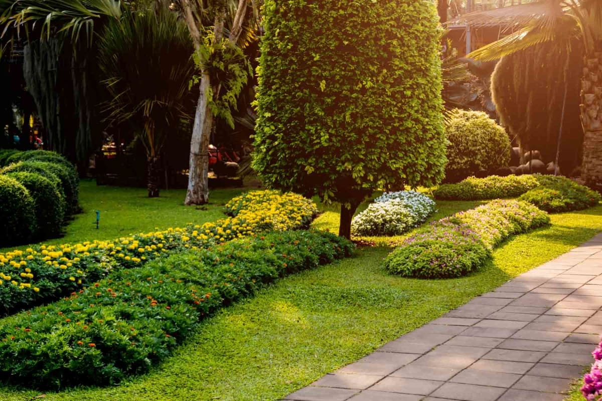 landscaper near me
