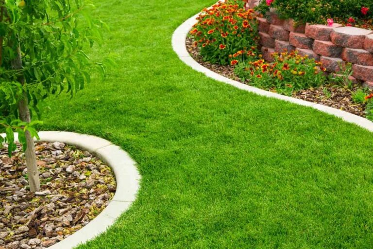 The 10 Best Garden Landscapers Near Me with Free Quotes 