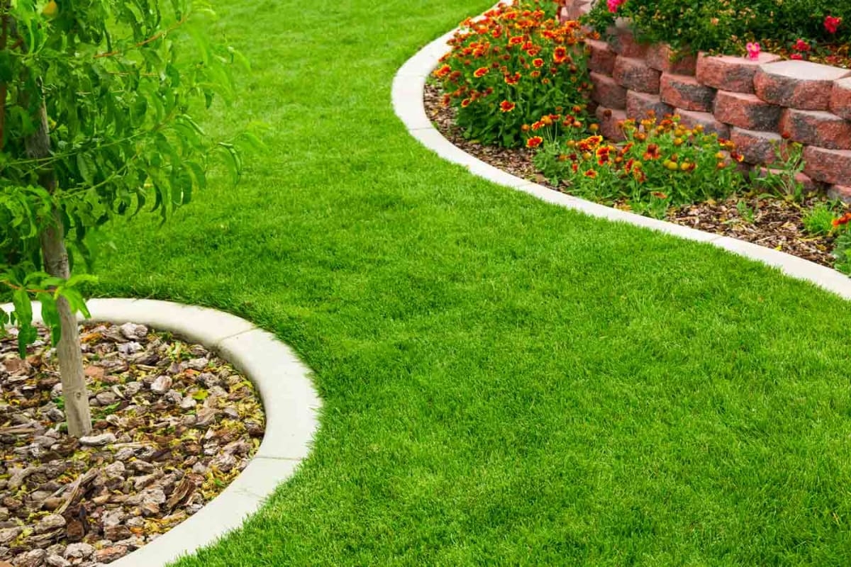 landscaping near me