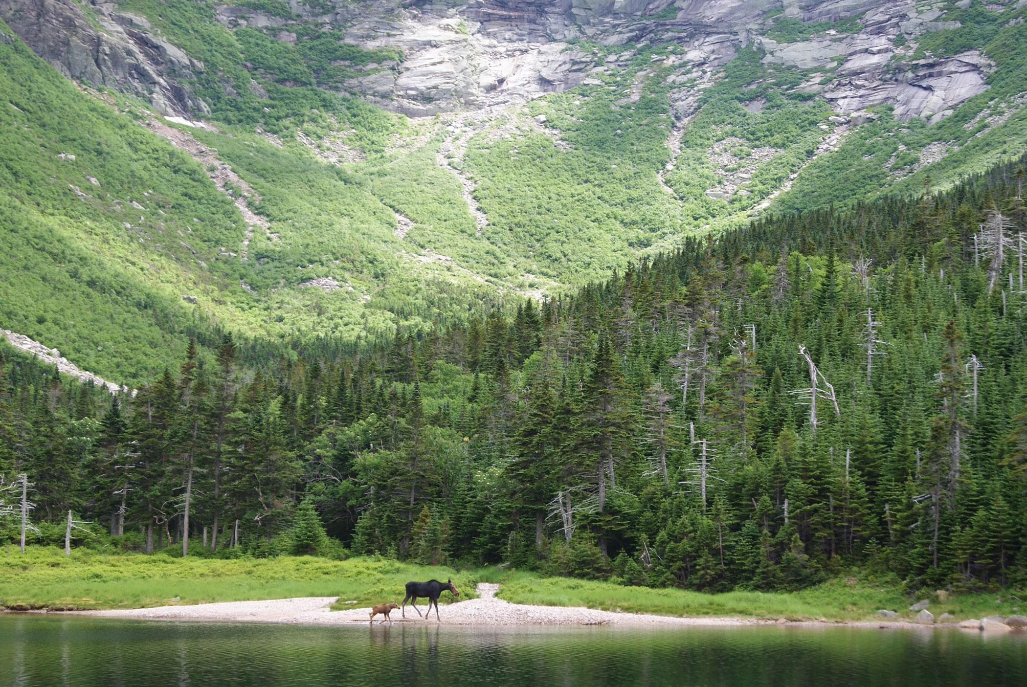 The 10 Most Beautiful Places In Maine Yankee Magazine