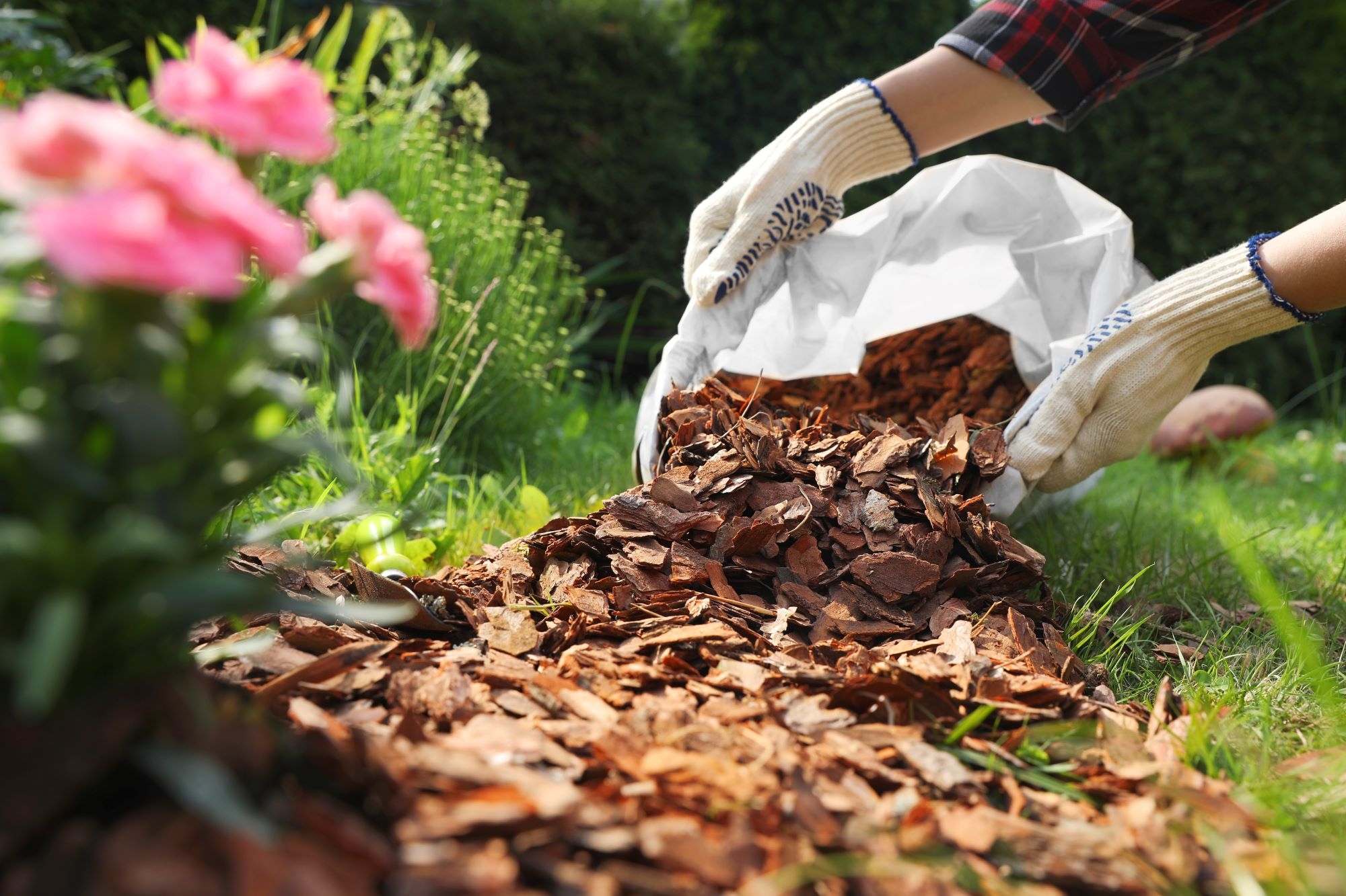 The Benefits Of Bark Mulch For Your Garden A Comprehensive Guide Allwood Recyclers Inc