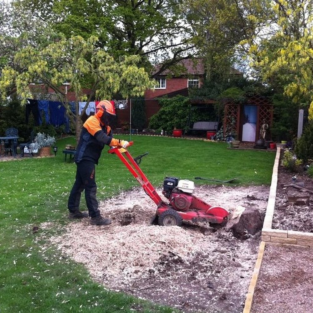 THE BEST 10 GARDENERS In DONCASTER SOUTH YORKSHIRE UNITED KINGDOM Updated 2025 Hours Yelp