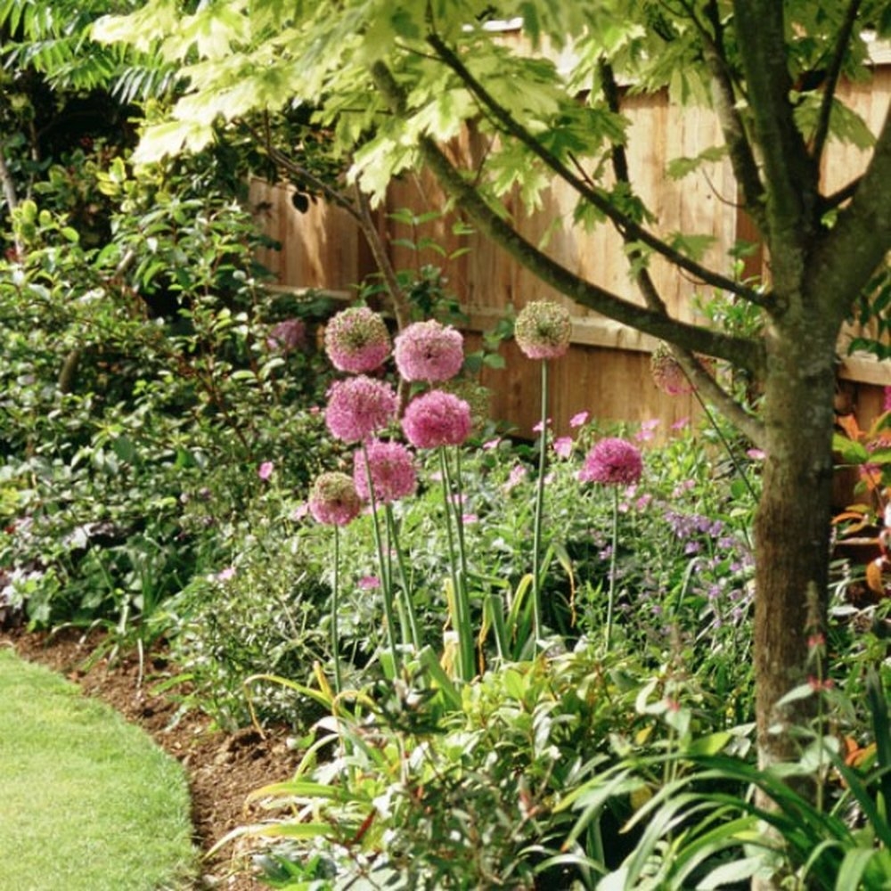landscape gardeners hull