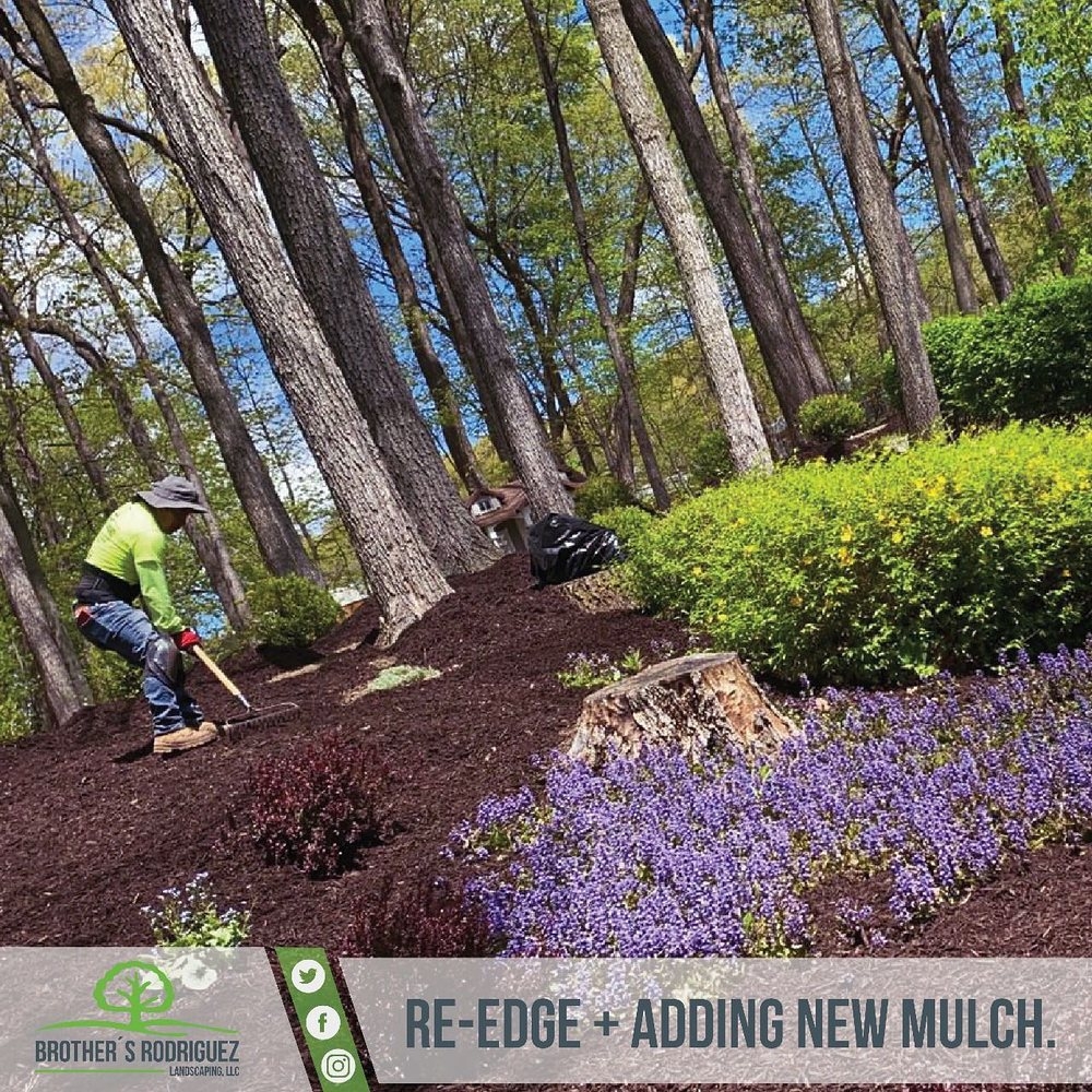 landscapers in sussex