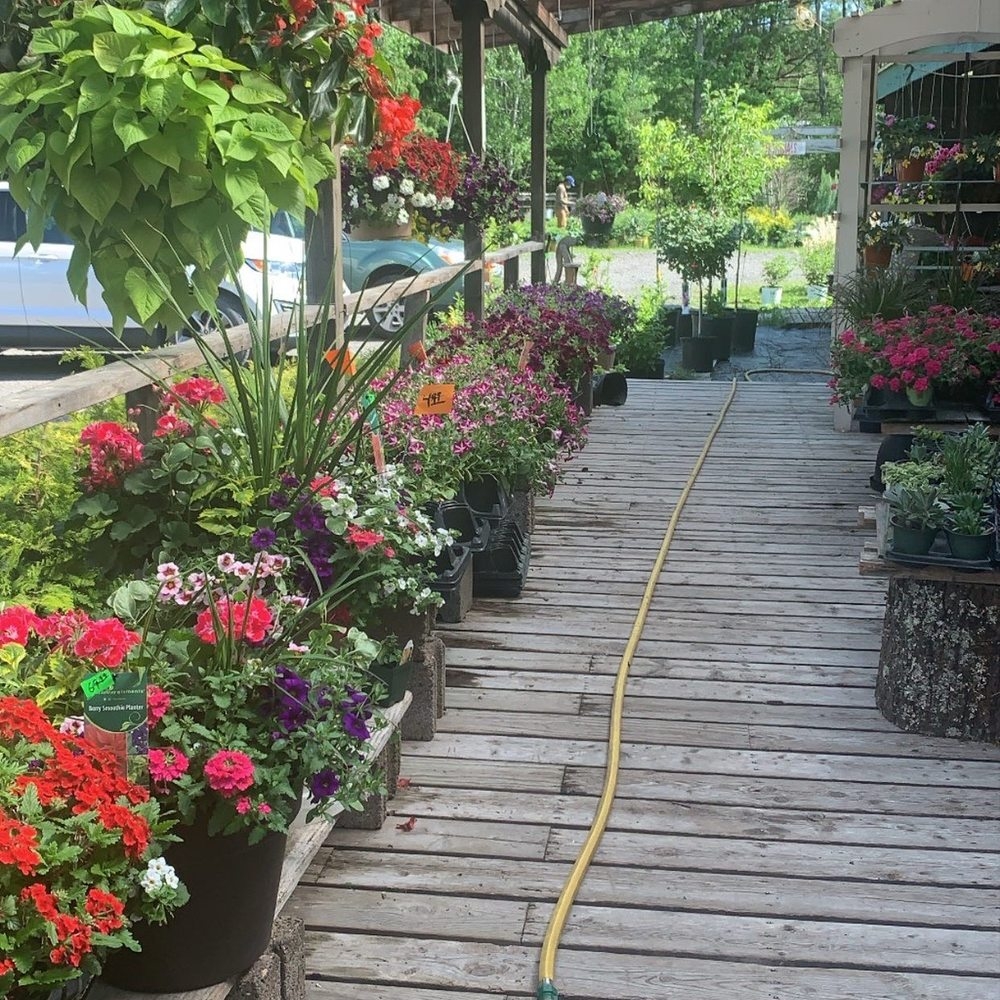 THE BEST 10 NURSERIES GARDENING In COVINGTON TOWNSHIP PA Updated 2025 Hours Yelp