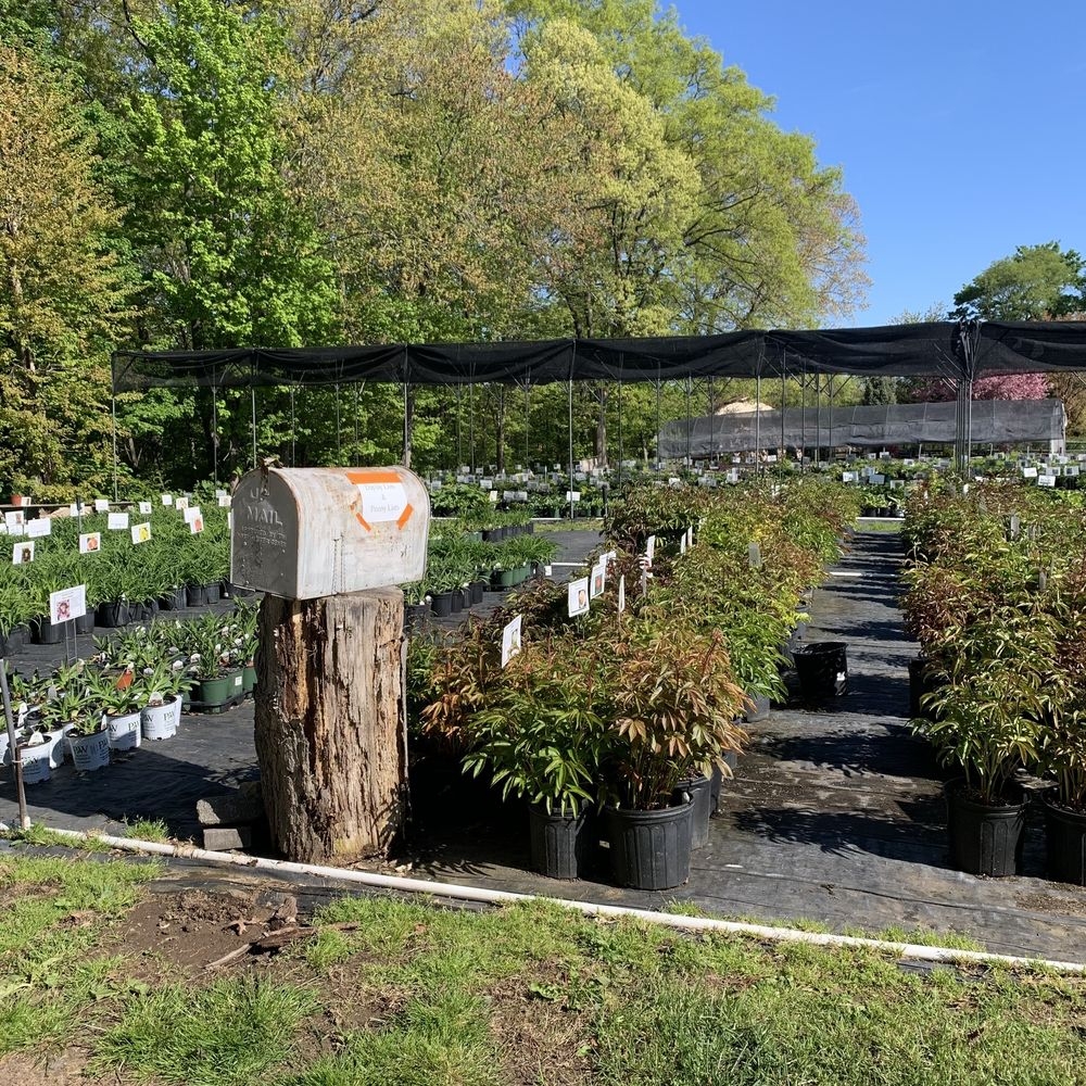THE BEST 10 NURSERIES GARDENING In EAST WINDSOR CT Updated 2025 Hours Yelp