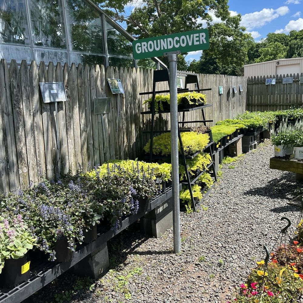 THE BEST 10 NURSERIES GARDENING In HARTFORD CT Updated 2025 Hours Yelp