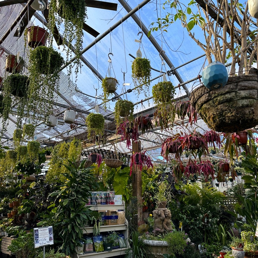 THE BEST 10 NURSERIES GARDENING In HILLSBOROUGH TOWNSHIP NJ Updated 2025 Hours Yelp THE BEST 10 NURSERIES GARDENING In HILLSBOROUGH TOWNSHIP NJ Updated 2025 Hours Yelp