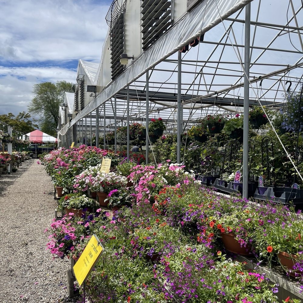 THE BEST 10 NURSERIES GARDENING In WINDSOR CT Updated 2025 Hours Yelp