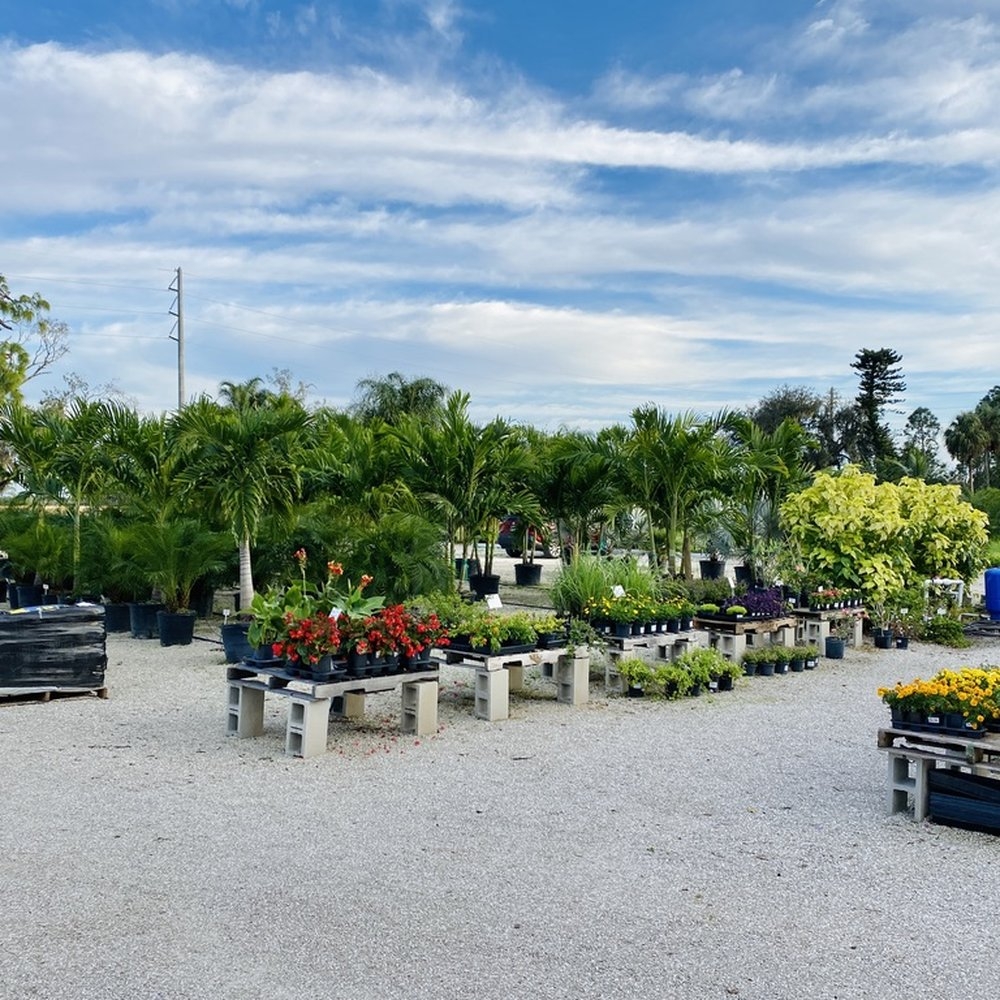 THE BEST 10 Nurseries Gardening Near BABCOCK RANCH FL Owl Creek Landscape Nursery Hickory Hammock Native Plant Nursery Riverland Nursery Yelp