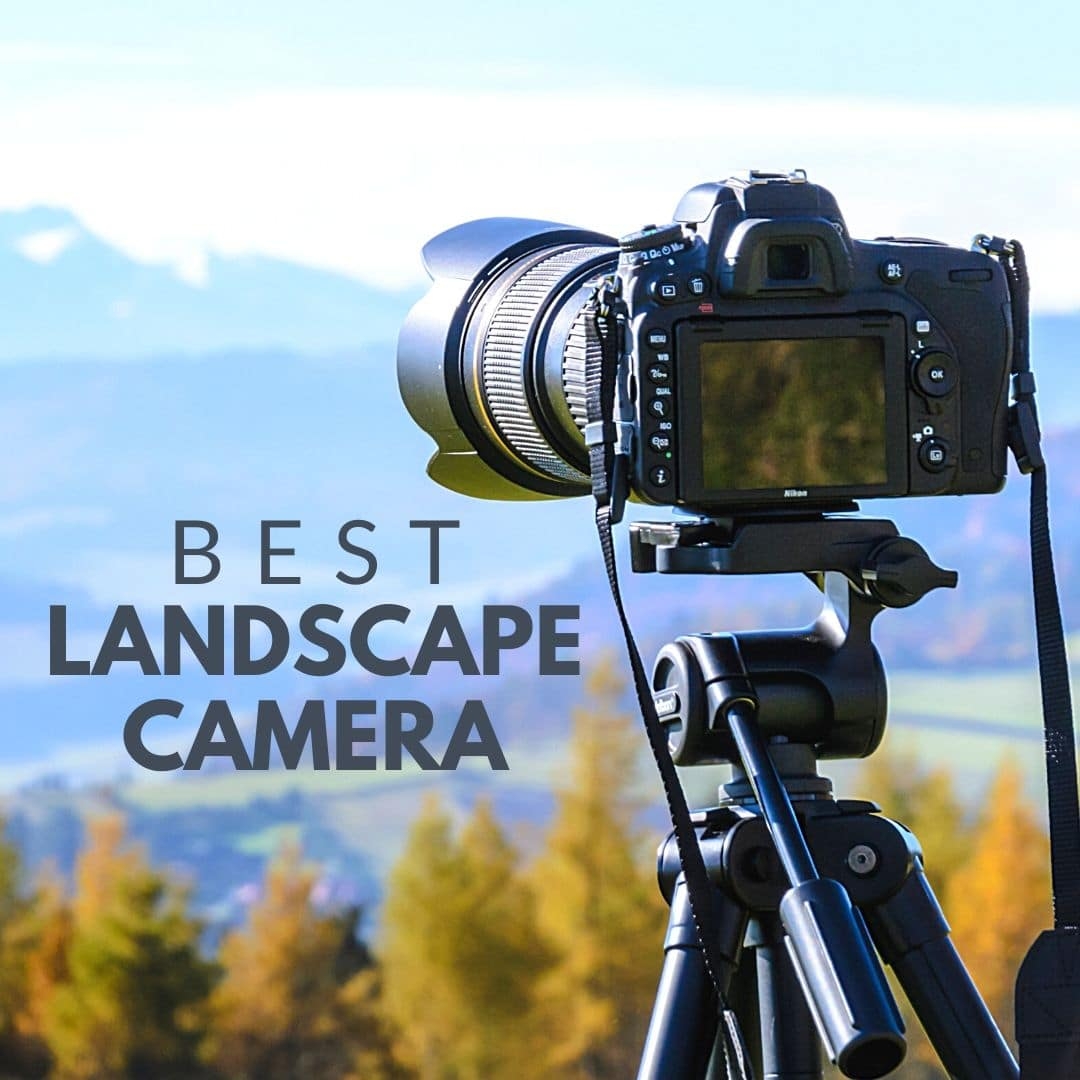 The Best Camera For Landscape Photography In 2021