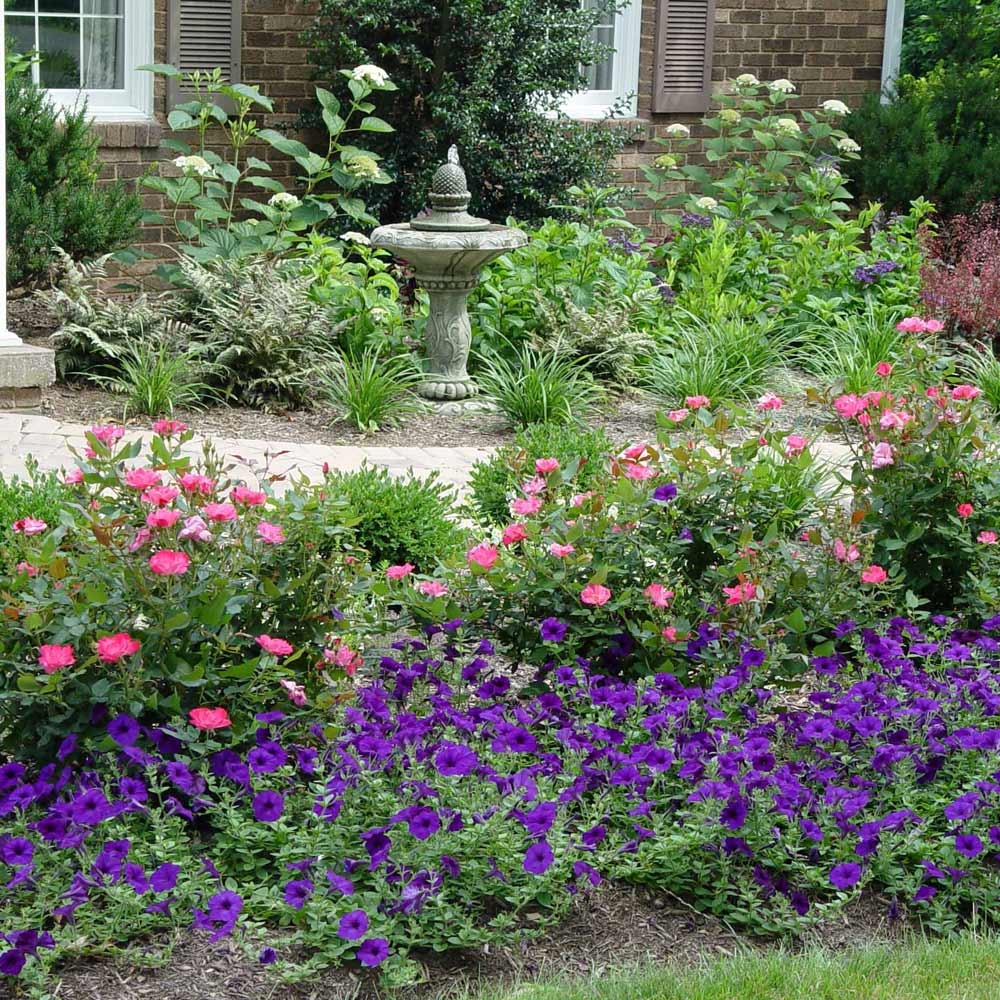 The Best Compact Shrubs For Front Yard Gardens