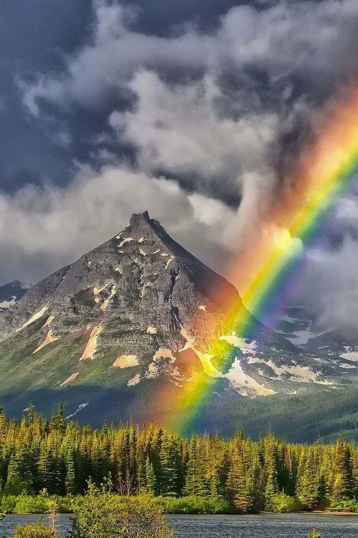 The Best Of Nature Photo