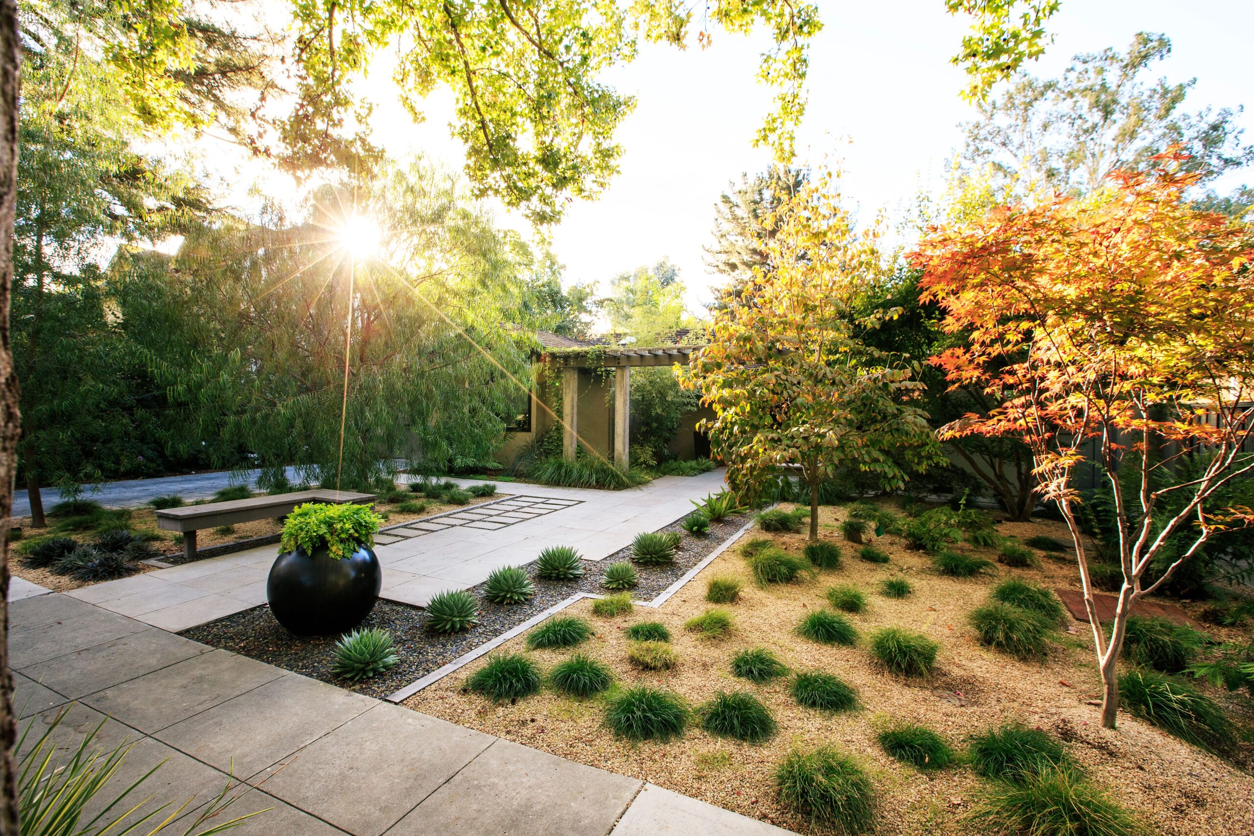 The Best Small Trees For Every Type Of Small Yard And Garden Sunset Sunset Magazine