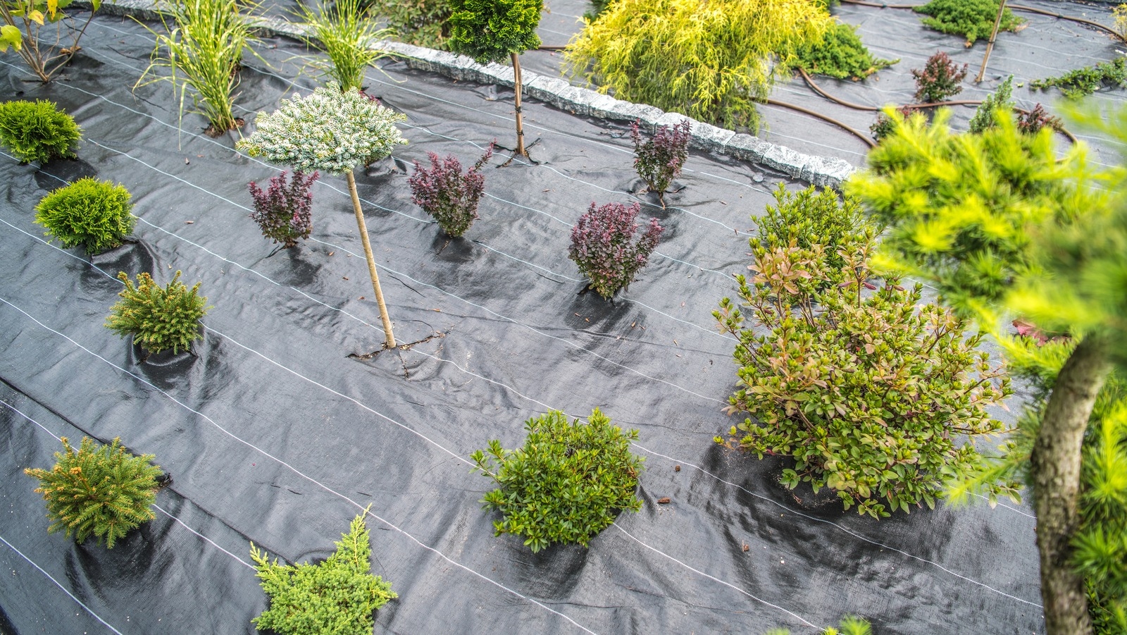 The Best Type Of Landscape Fabric To Keep Weeds At Bay