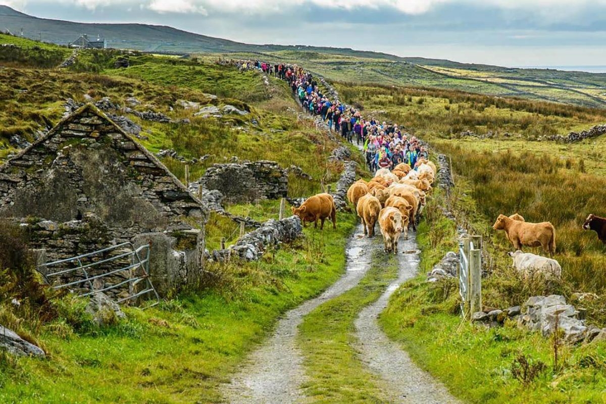 The Burren In Ireland Conserving A Unique Cultural Landscape