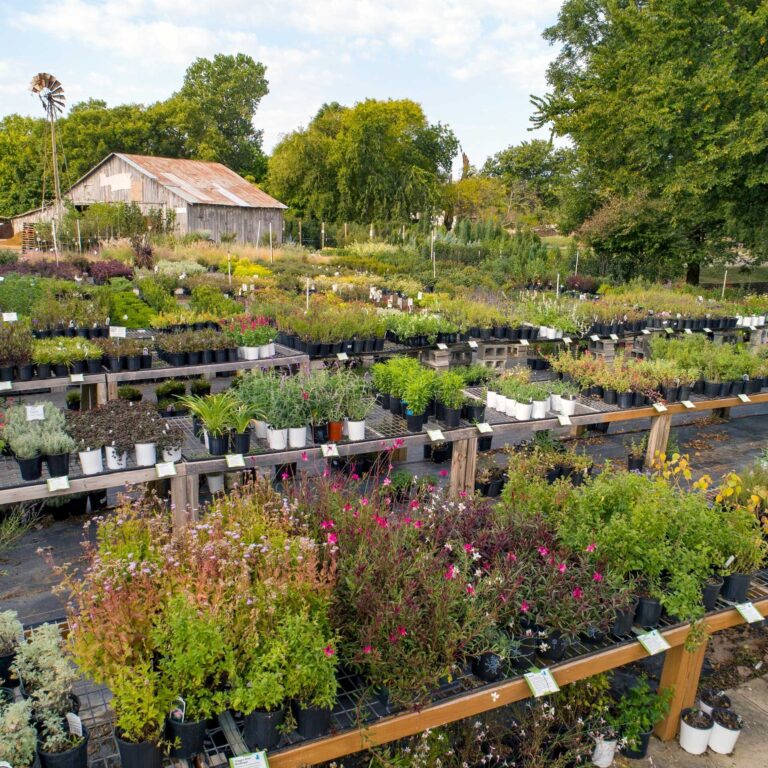 THE Garden Center Keeping Frisco TX Green Since 1979