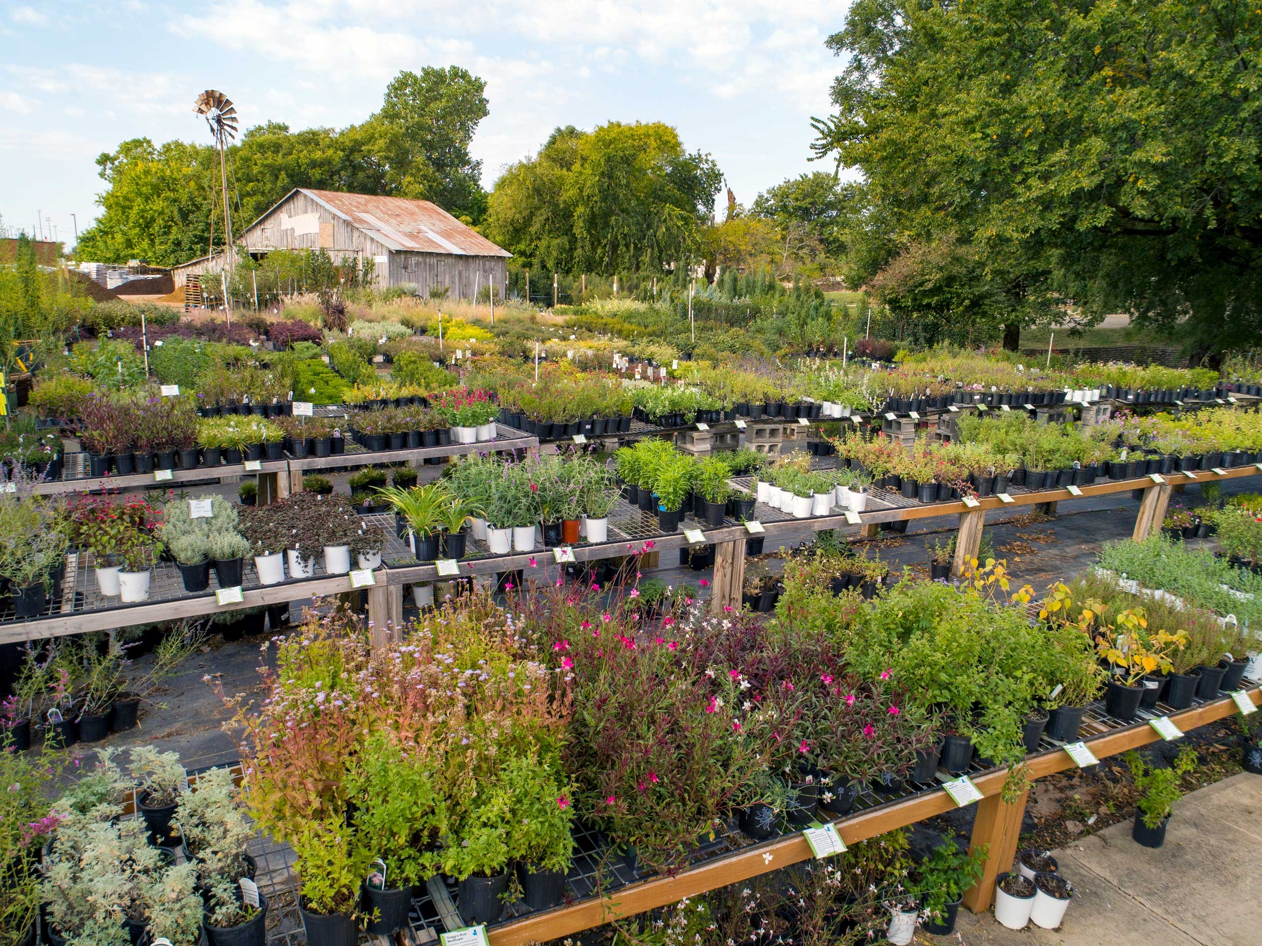 THE Garden Center Keeping Frisco TX Green Since 1979