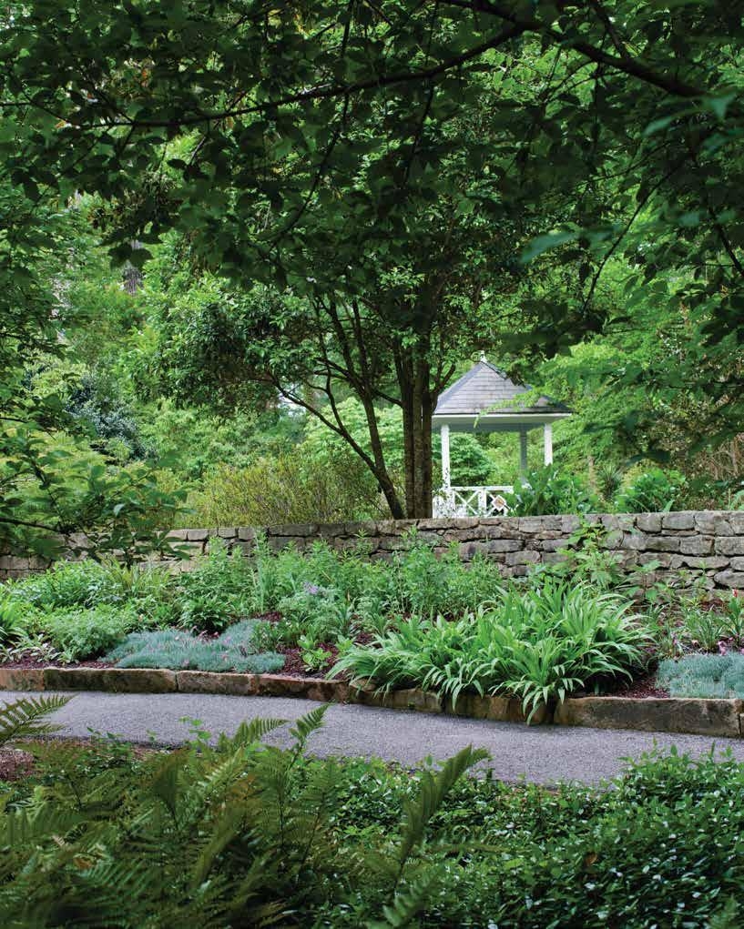 The Garden Dirt Summer 2020 By Birmingham Botanical Gardens Issuu
