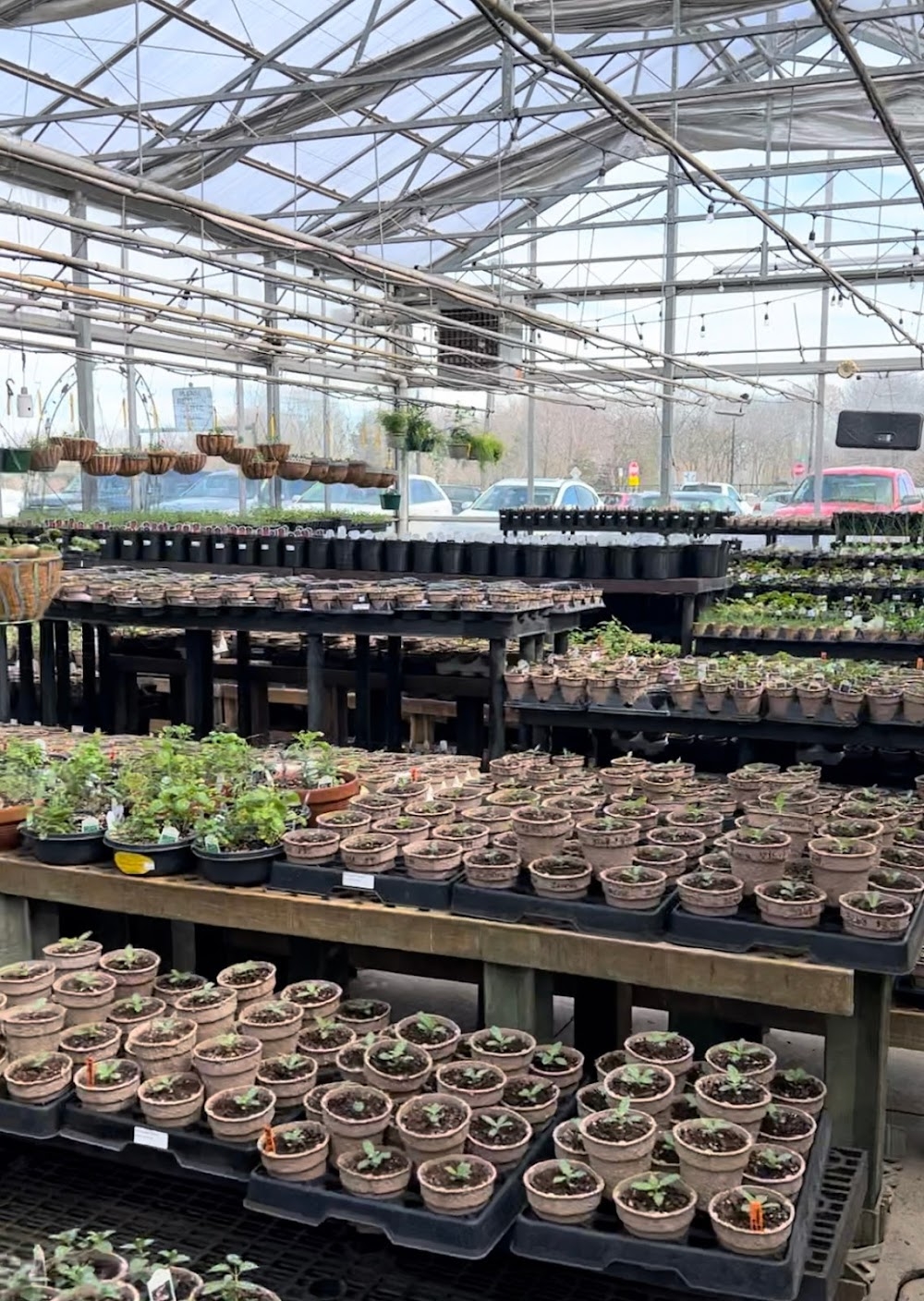 The Mustard Seed Landscaping Garden Center Reviews Photos Phone Number Updated August 2025 Landscaping Services In Chanhassen Town Carver County Wheree