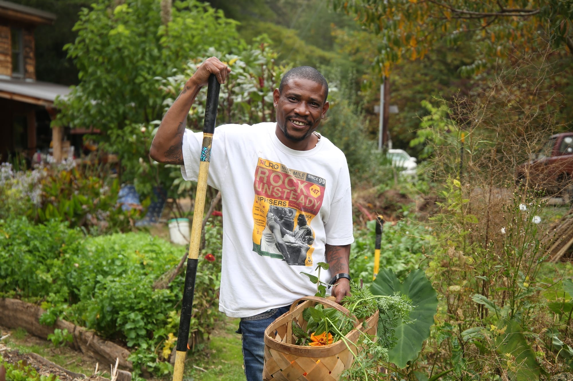 The Organic Gardening School Online Gardening Classes