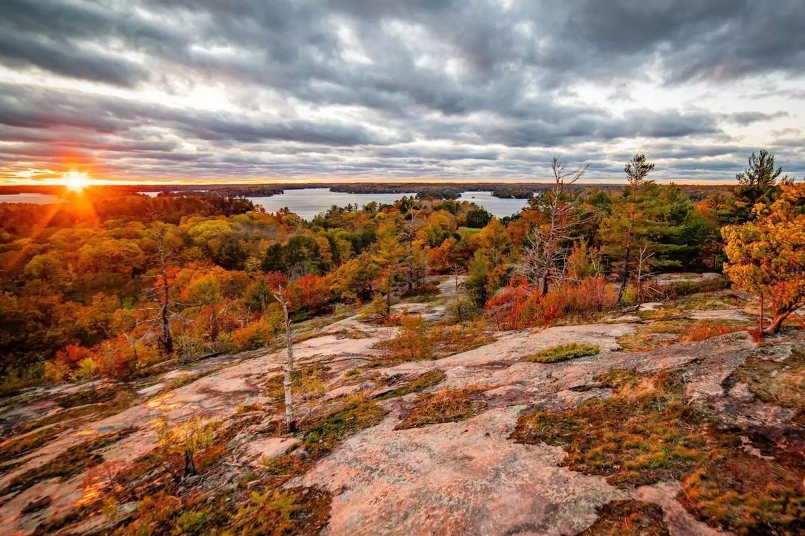 the landscapes muskoka