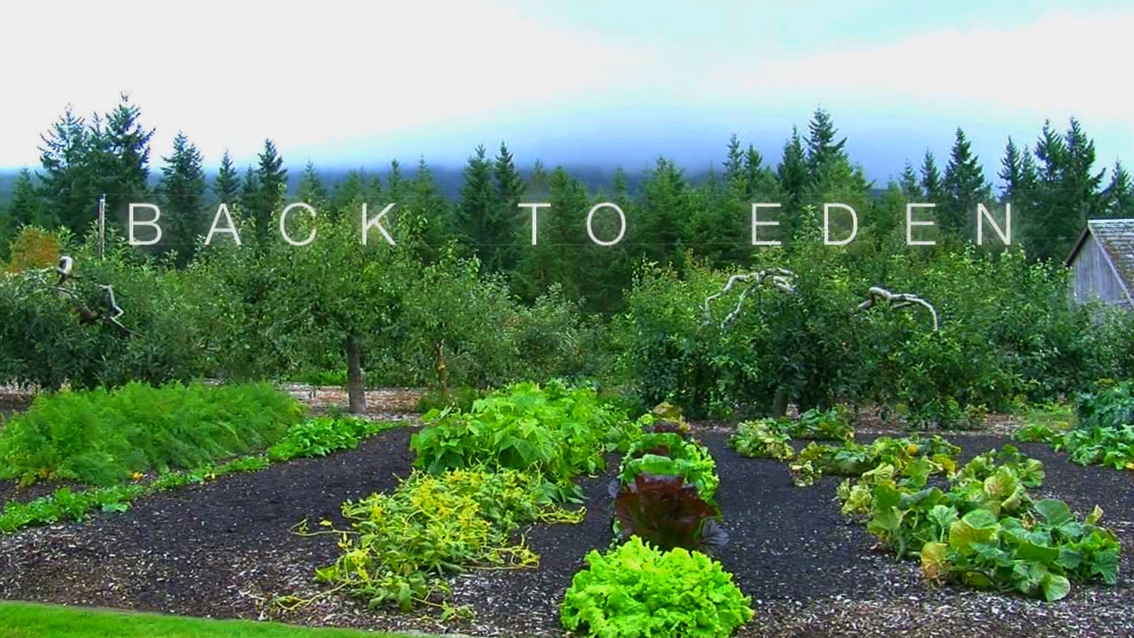 The Truth About Back To Eden Gardening Let Us Clear A Few Things Up Back To Eden Gardening Documentary