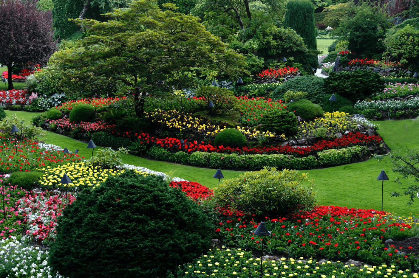 The Ultimate Guide To Finding The Right Trees Grasses Shrubs And Plants For Your Landscaping Project Blog Arbor Valley Nursery