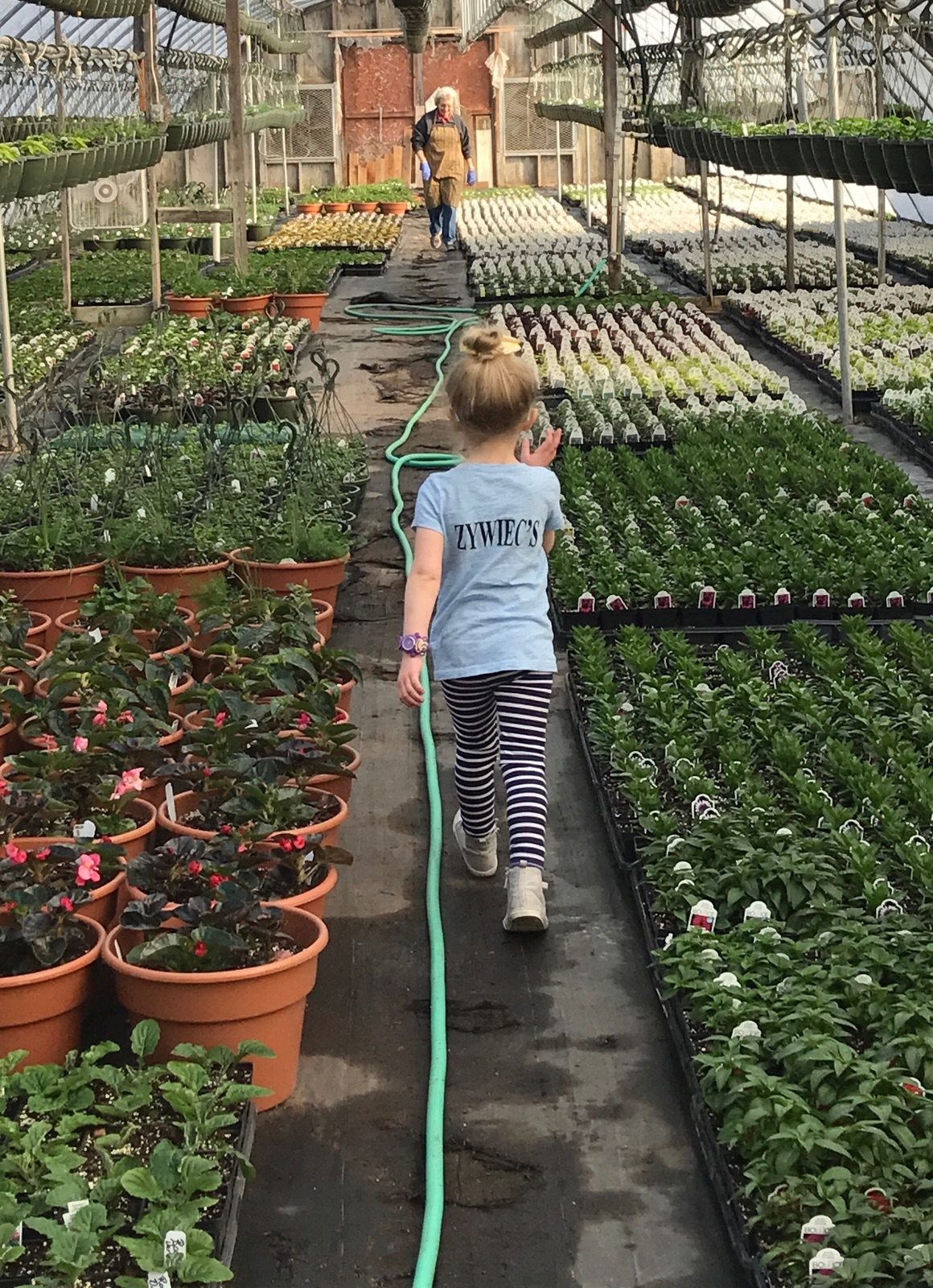 The Zywiec Family Zywiecs Garden Center The Zywiec Family Zywiecs Garden Center