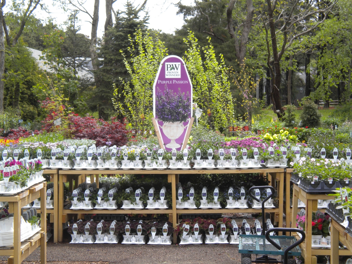 They re Making It On The Cape Scenic Roots Garden Center CapeCod They re Making It On The Cape Scenic Roots Garden Center CapeCod