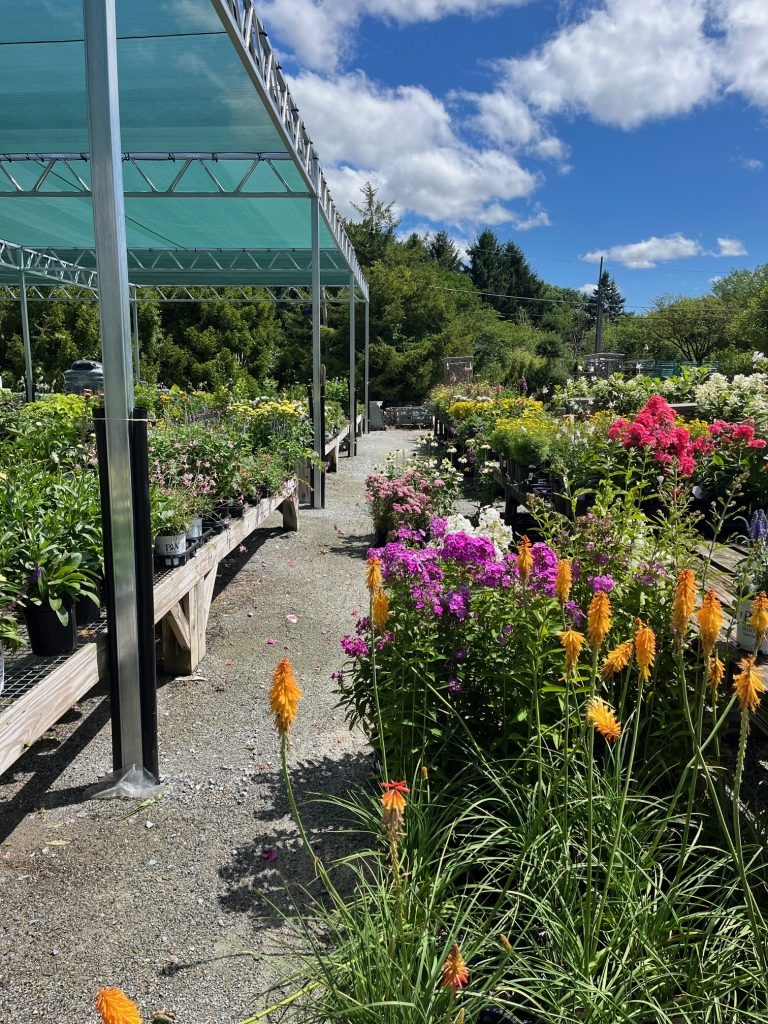 This Week At Gardner s Gardner s Landscape Nursery